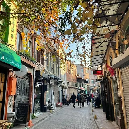 Apartment Cozy At Balat *